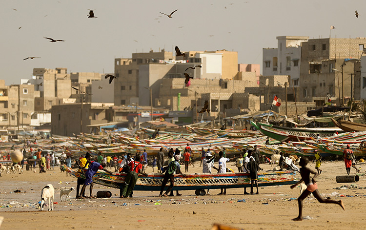 Senegal'de ekmeğini denizden çıkaranlar; geleneksel balıkçılar